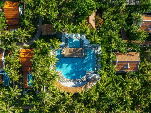 Overhead view of the main pool among the crowns of the coconut palms