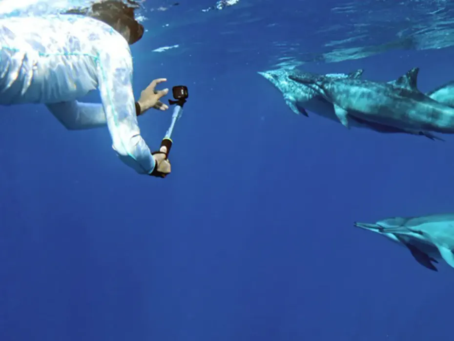 A person with an underwater camera and three dolphins turning in open blue water