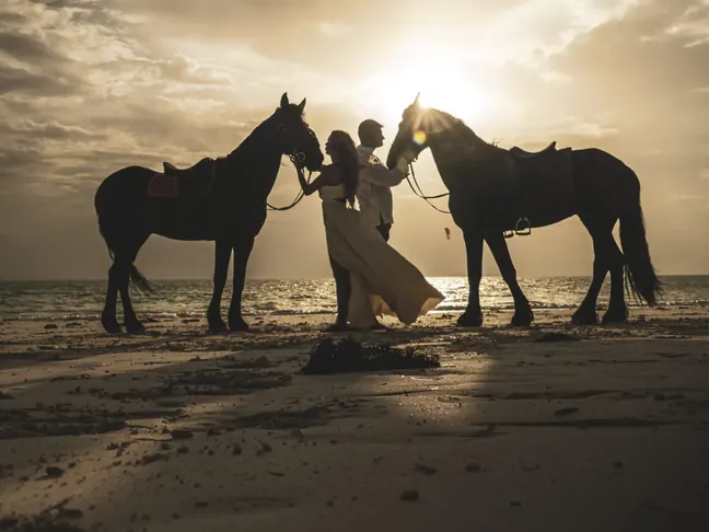 Dos caballos ensillados y una pareja a contraluz sobre la arena de Paje, al sol bajo del amanecer