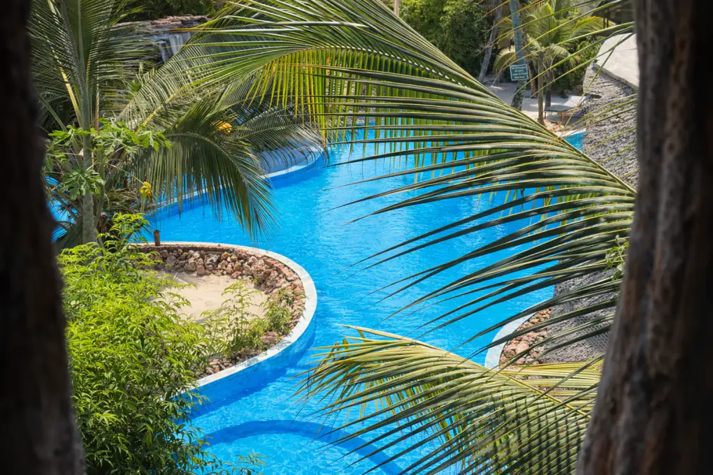 The Nest pool seen from the top of the Tree House, through palm fronds