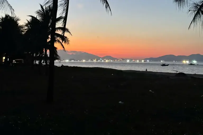 Palmeras en contraluz sobre el mar al anochecer, con las luces de la costa de Ha My