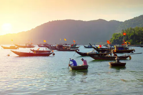 Fishing boats at anchor off the Chàm Islands, the mountain behind